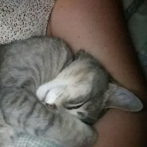 Meet your Posher, Bethany